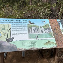 McArthur Burney Falls State Park