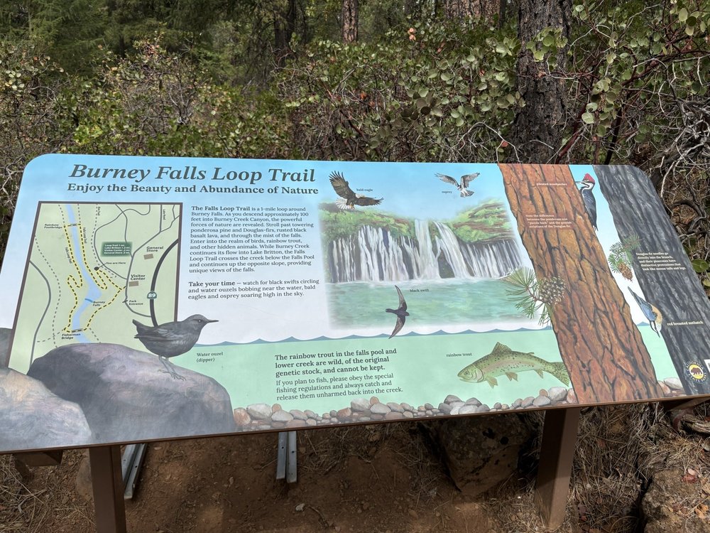 McArthur Burney Falls State Park Logo