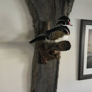 Hoosier Trapper Supply - Pose I got - Taxidermy Near Me - Greenwood, Indiana Hoosier Trapper Supply - Pose I got - Taxidermy Near Me - Greenwood, Indiana