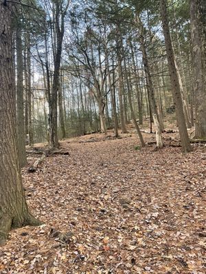 Retreat Tower by null