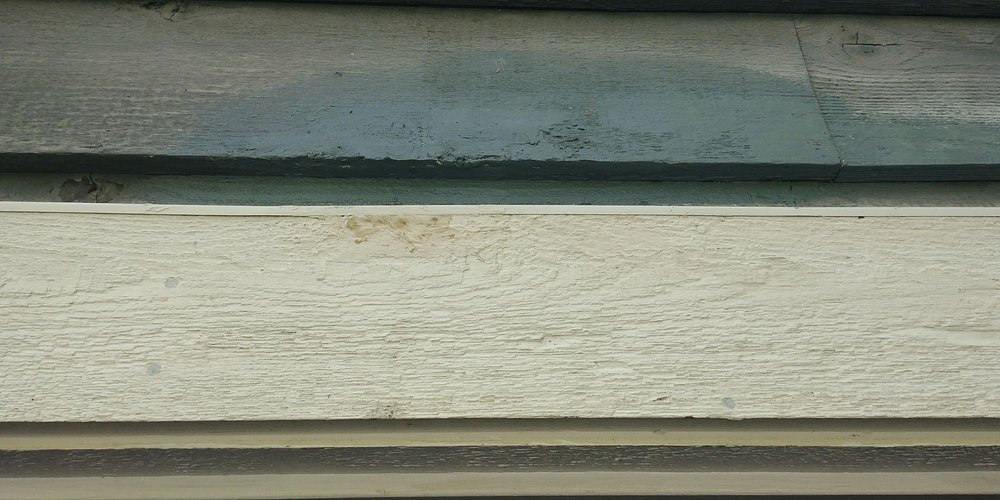 BIN THERE DUMP THAT CHICAGOLAND 11 Reviews Elk Grove Village