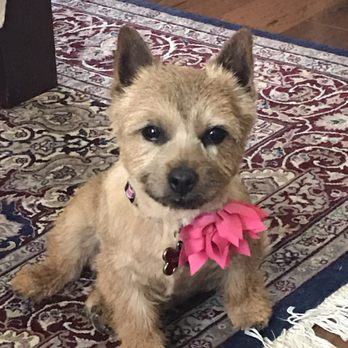 Waggers Dog Depot - Pet Groomers Near Me - Asheville, North Carolina