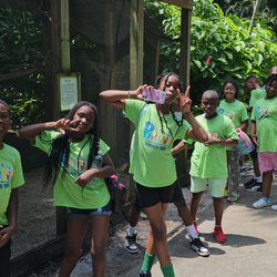 Bionic Summer Camp