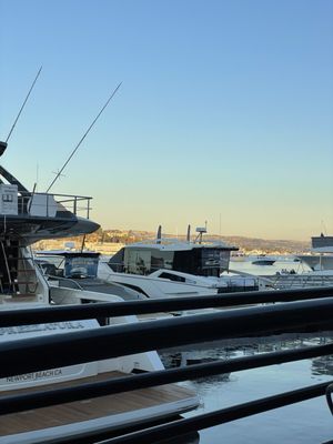 Circle Hook Fish Co. by null