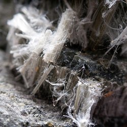 Quantum Restoration Services