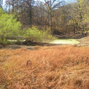 August A. Busch Memorial Conservation Area - A bog along the trail - Hiking Near Me - Saint Charles, Missouri August A. Busch Memorial Conservation Area - A bog along the trail - Hiking Near Me - Saint Charles, Missouri