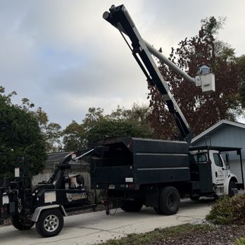 TreeTek Complete Tree Services & Stump Grinding - Tree Services Near Me - Sanford, Florida TreeTek Complete Tree Services & Stump Grinding - Tree Services Near Me - Sanford, Florida