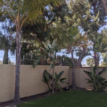 Environmental Green Tree Care - Before - Tree Services Near Me Environmental Green Tree Care - Before - Tree Services Near Me