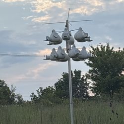 Grange Insurance Audubon Center