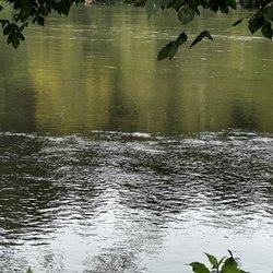New River's Edge