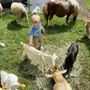 Farm On Wheels