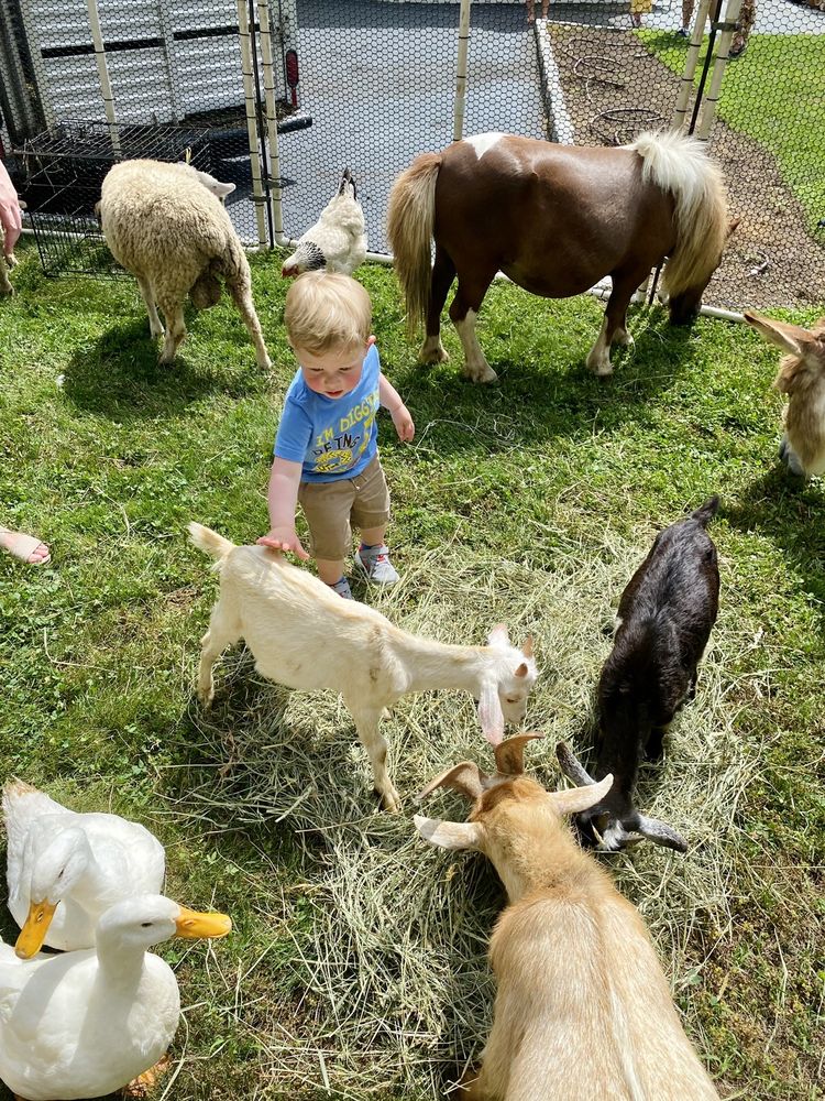 FARM ON WHEELS Updated September 2024 Spring Rd, Prospect, Connecticut Petting Zoos