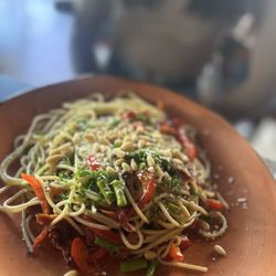 Cafe-Boutique Piano - Spaghetti primavera with Italian pesto 20
