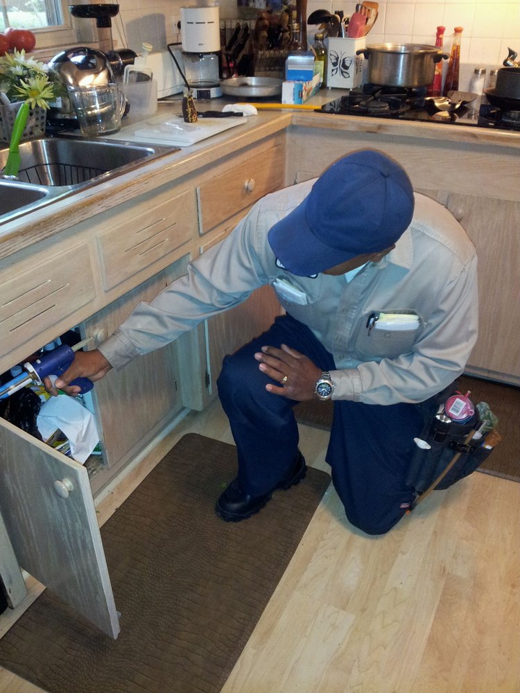 ECONOMY PEST CONTROL Chicago, IL Yelp