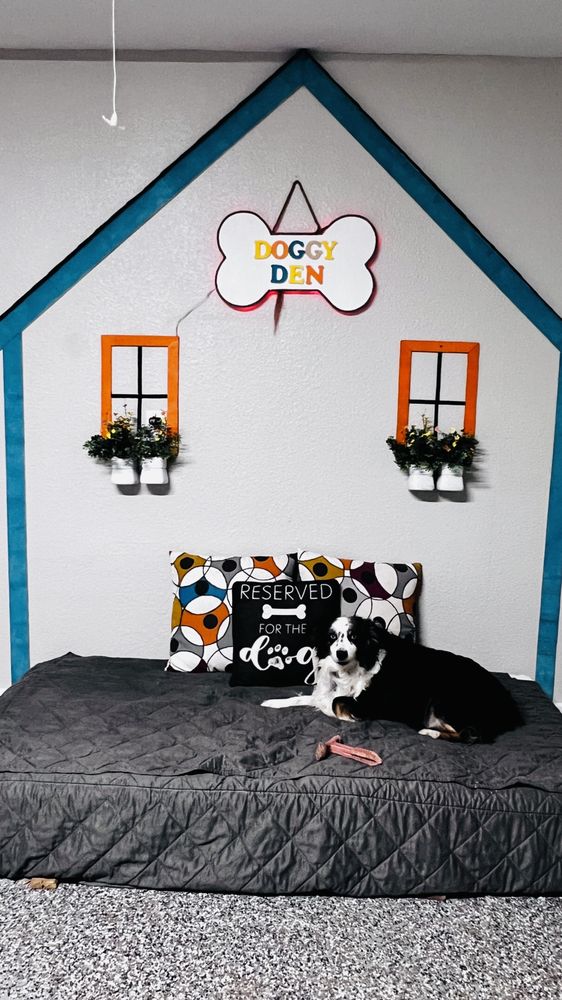 DOGGY DEN RESORT Updated June 2024 18 Photos Denton, Texas Pet Boarding Phone Number
