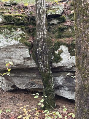 Petit Jean State Park Lake by null
