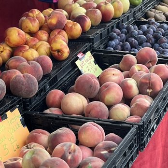 Maple Valley Farmers' Market - Peaches and nectarines - Farmers Market Near Me - Maple Valley, Washington Maple Valley Farmers' Market - Peaches and nectarines - Farmers Market Near Me - Maple Valley, Washington