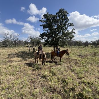 Bit & Bridle Boarding & Training Stables - Horseback Riding Near Me - Harper, Texas