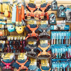 All Natural Pet Supply