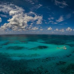Cayman Turtle Divers - Stingray City Sandbar is a must see on a trip to Grand Cayman.