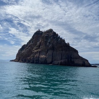 Cortez Expeditions - Scuba Diving Near Me - La Paz, BCS Cortez Expeditions - Scuba Diving Near Me - La Paz, BCS