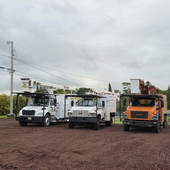 Ashton's Landscape & Tree Service - Tree Services Near Me