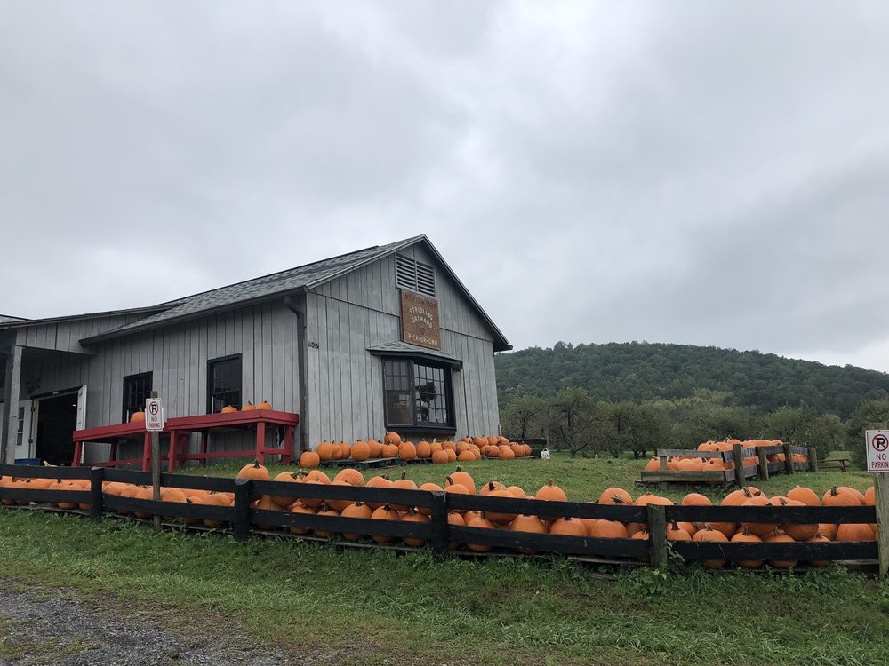 STRIBLING ORCHARD Updated September 2024 100 Photos & 71 Reviews