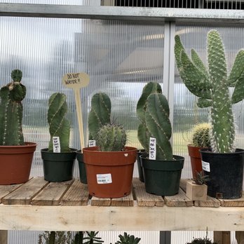 Country Fair Garden Center - Nurseries & Gardening Near Me - Denver, Colorado Country Fair Garden Center - Nurseries & Gardening Near Me - Denver, Colorado