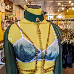 Brazen - Gorgeous lingerie with just the right amount of spice.