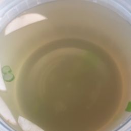 Clear soup - very flavorful Clear soup - very flavorful