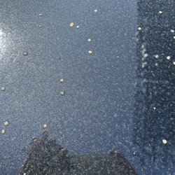Pleasanton Hand Car Wash