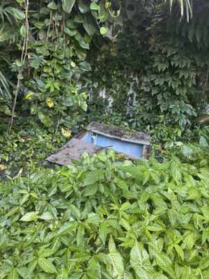 The Explorean Cozumel All Inclusive by null