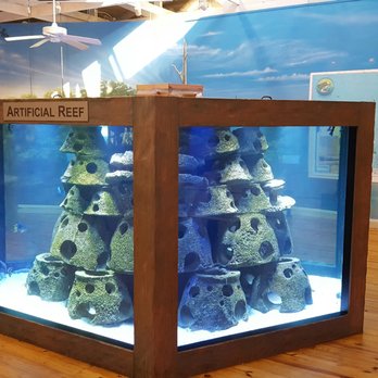 Marine Science Center - Aquariums Near Me - Ponce Inlet, Florida Marine Science Center - Aquariums Near Me - Ponce Inlet, Florida