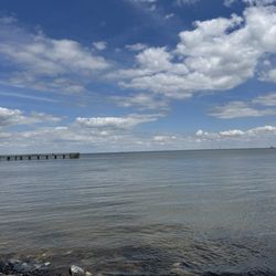 Downs Park and Dog Beach - View of water and pier in the distance