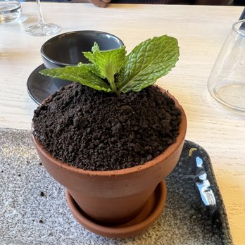 Terravita - Breakfast & Brunch Near Me - New York, New York Terravita - Breakfast & Brunch Near Me - New York, New York