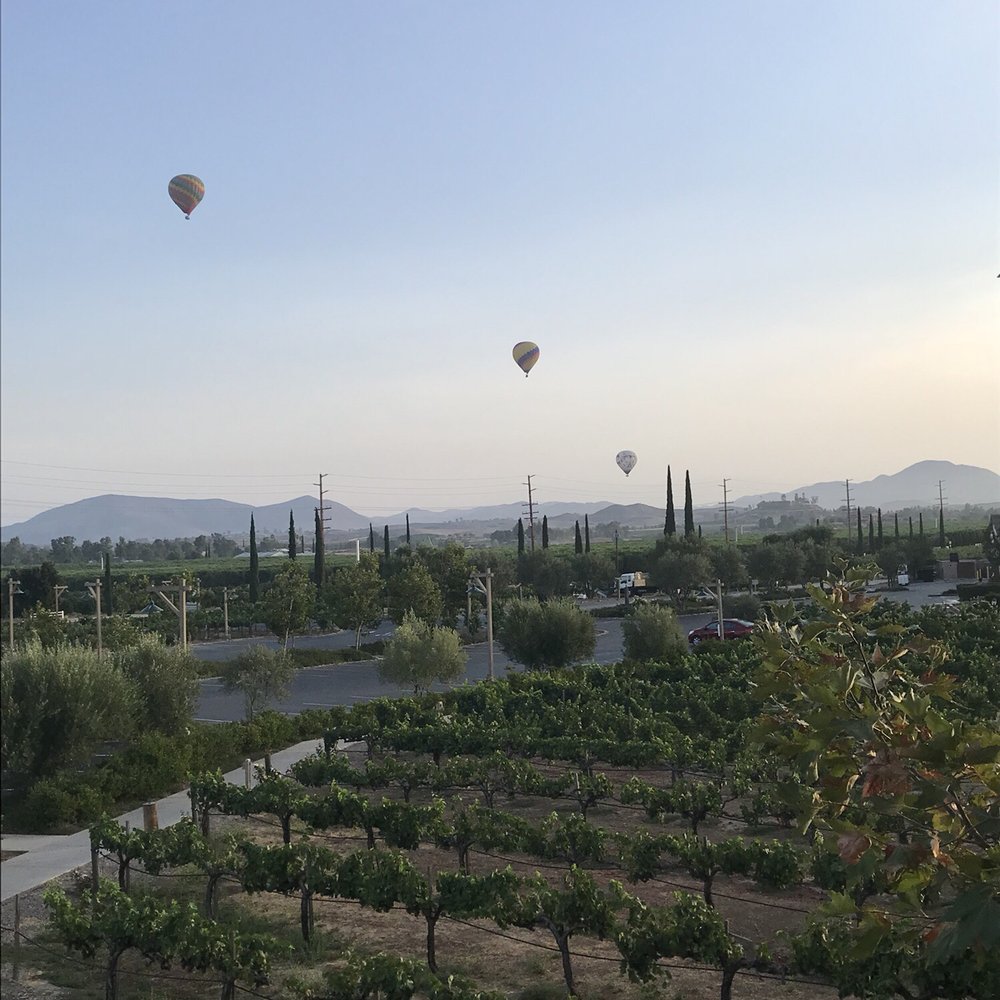 Ponte Vineyard Inn - Hotels Near Me - Temecula, California Ponte Vineyard Inn - Hotels Near Me - Temecula, California