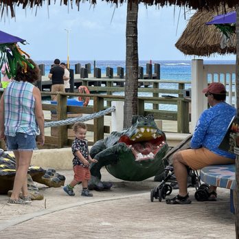 Puerta Maya - Tours Near Me - Cozumel, ROO