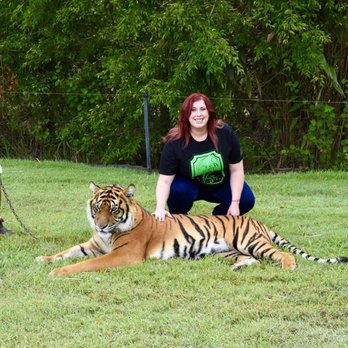 Australia Zoo - Platinum Tour - Zoos Near Me - Beerwah, QLD
