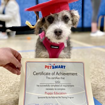 PetSmart - Pet Stores Near Me - Glen Burnie, Maryland PetSmart - Pet Stores Near Me - Glen Burnie, Maryland