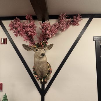 Blue Elk Inn - Hotels Near Me - Leavenworth, Washington Blue Elk Inn - Hotels Near Me - Leavenworth, Washington