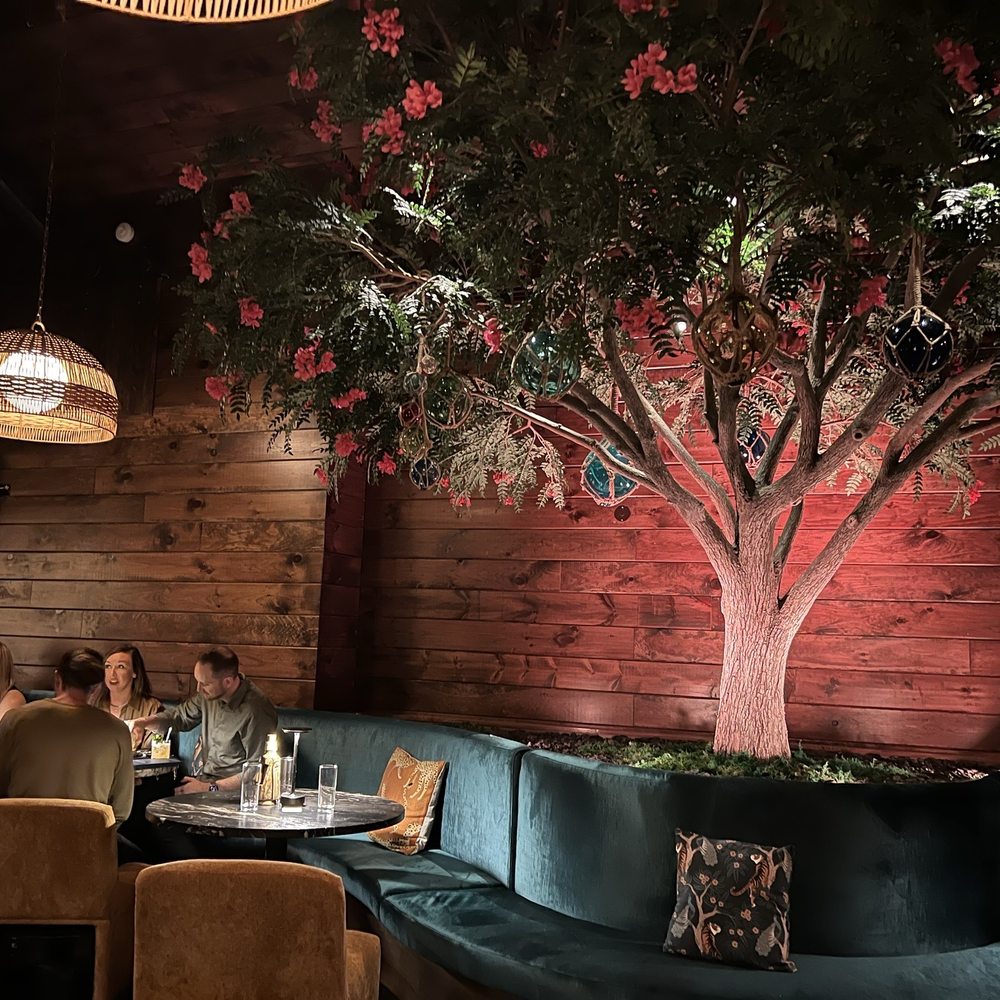Callisto - Tiki Bars Near Me - Bentonville, Arkansas