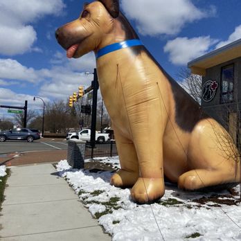 Griffith Veterinary Hospital - Veterinarians Near Me - Westland, Michigan Griffith Veterinary Hospital - Veterinarians Near Me - Westland, Michigan