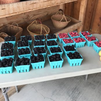 Templeton Valley Farmers - baskets of berries on a table - Fruits & Veggies Near Me - Templeton, California Templeton Valley Farmers - baskets of berries on a table - Fruits & Veggies Near Me - Templeton, California