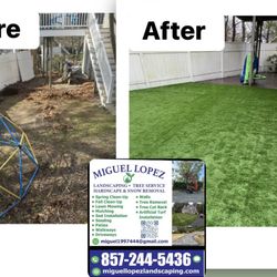 Miguel Lopez Landscaping & Hardscaping - Professional Artificial turf installation...