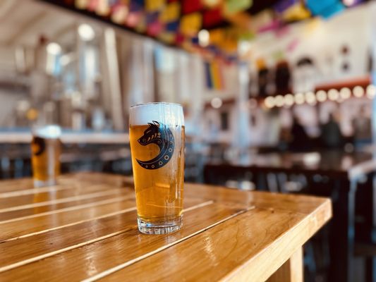 El Sueñito Brewing Company by null