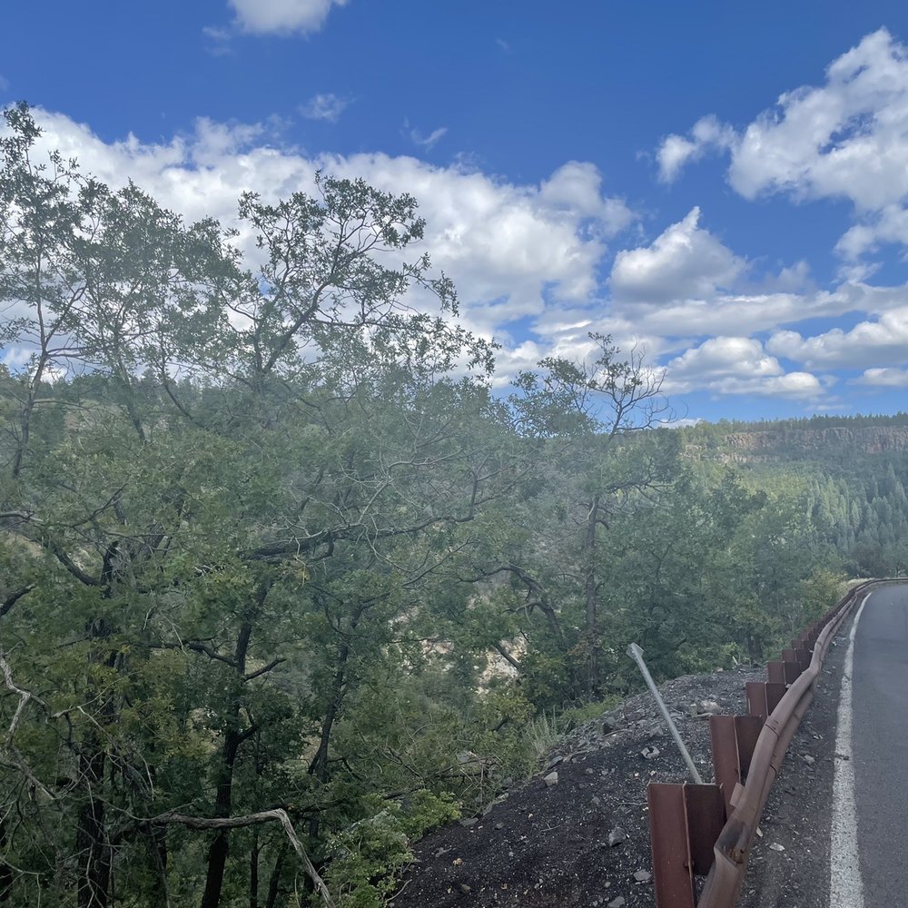 The drive through Coconino to get to Sedona. The drive through Coconino to get to Sedona.