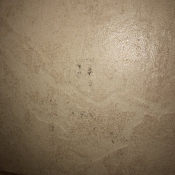 Great Wolf Lodge - Hair dried to shower wall - Resorts Near Me - Grapevine, Texas Great Wolf Lodge - Hair dried to shower wall - Resorts Near Me - Grapevine, Texas