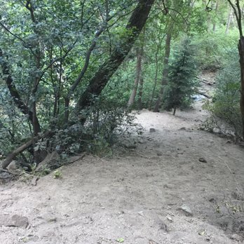 Ferguson Canyon - This dusty incline had little traction and was difficult to hike down - Hiking Near Me - Cottonwood Heights, Utah