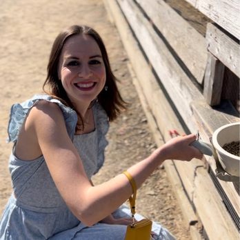 Ostrichland USA - Feeding emus! - Attraction Farms Near Me - Solvang, California Ostrichland USA - Feeding emus! - Attraction Farms Near Me - Solvang, California