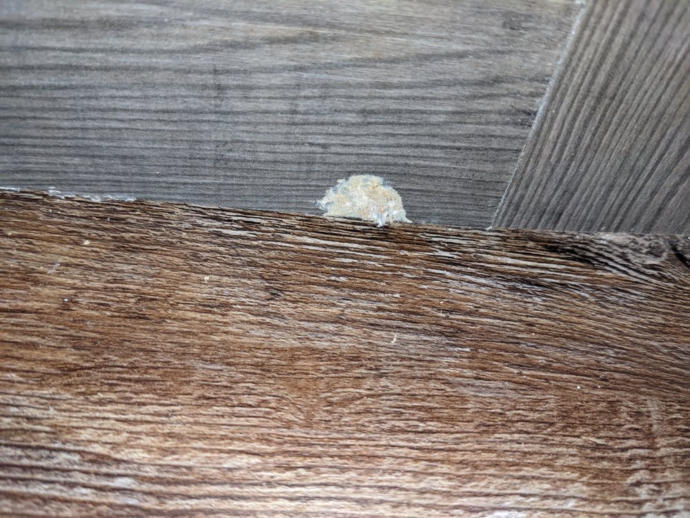 WAYNE FRIER MACCLENNY Updated August 2024 68 Photos & 12 Reviews